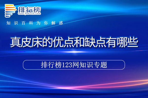 真皮床的优点和缺点有哪些