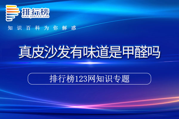 真皮沙发有味道是甲醛吗