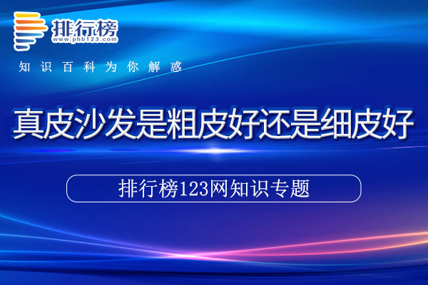 真皮沙发是粗皮好还是细皮好