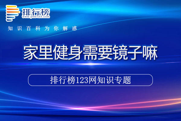 家里健身需要镜子嘛