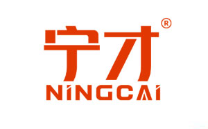 宁才/NINGCAI