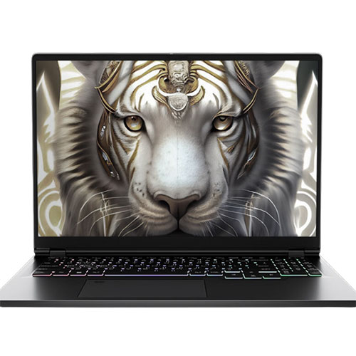 玩家战神 高刷电竞本 (i7-11800/3060/16G/512G)