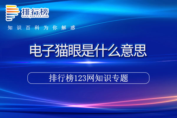 电子猫眼是什么意思