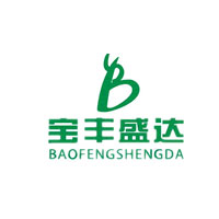 宝丰盛达