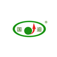 国迪