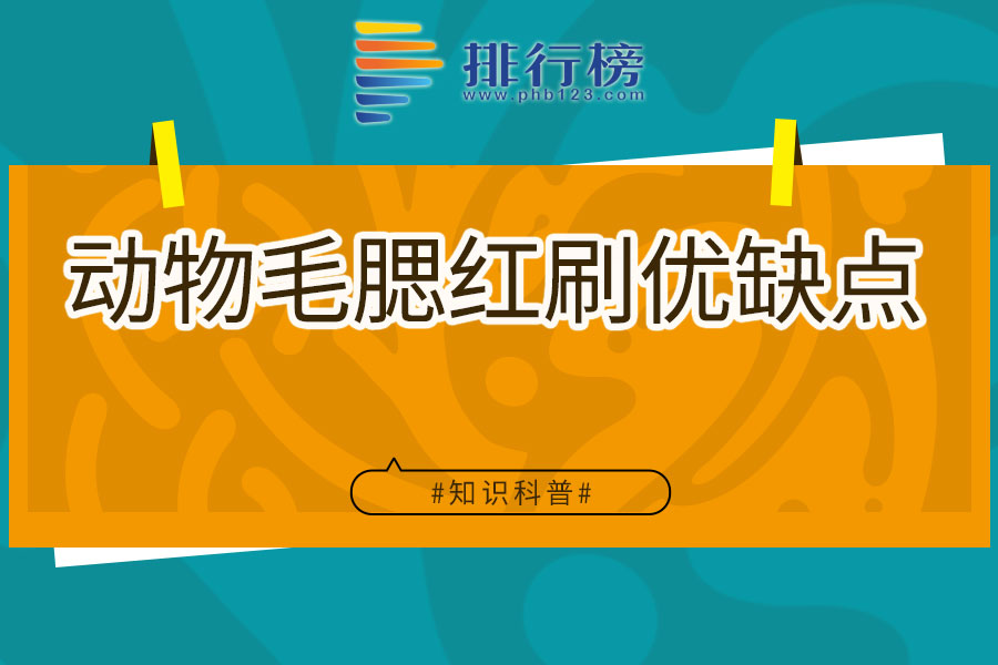 动物毛腮红刷优缺点