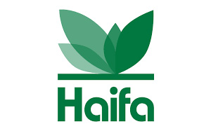 海法/Haifa Group