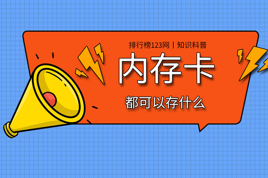 内存卡都可以存什么