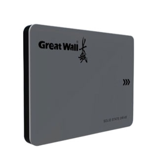 长城 1GW560系列固态硬盘 128GB