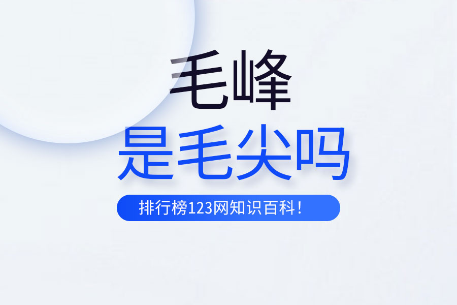 毛峰是毛尖吗