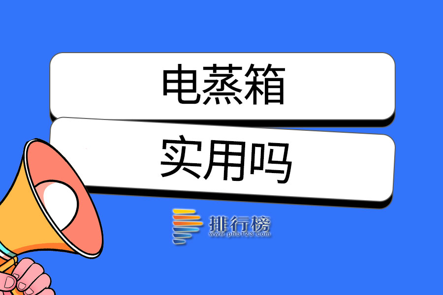 电蒸箱实用吗