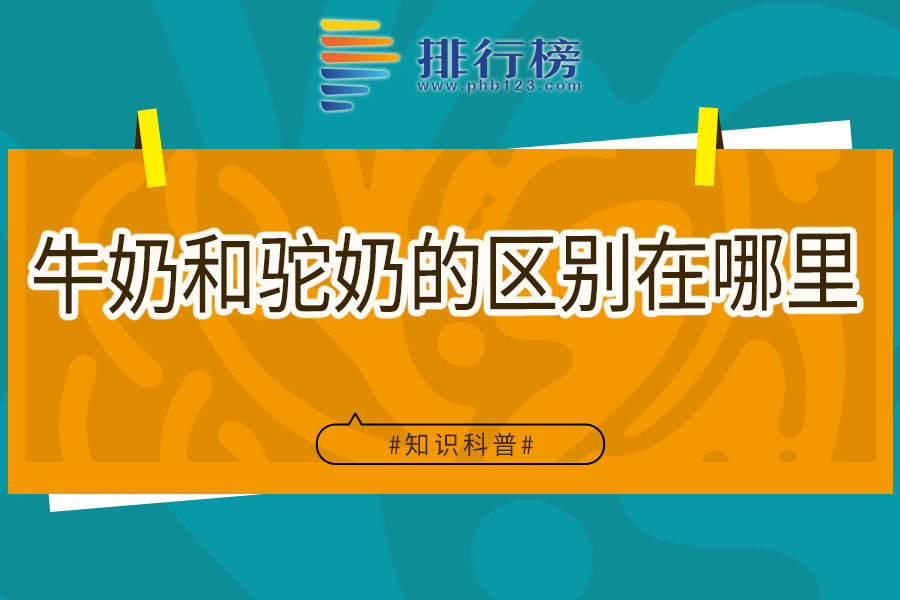 牛奶和驼奶的区别在哪里