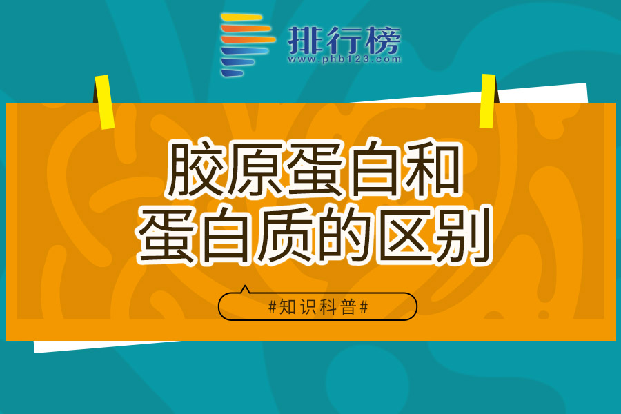 胶原蛋白和蛋白质的区别