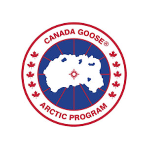 加拿大鹅/Canada Goose