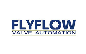 福莱福流/FLYFLOW