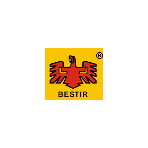 鹰之印/BESTIR
