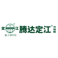 腾达定江