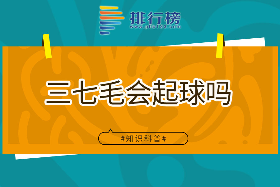 三七毛会起球吗