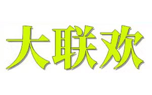 大联欢数码