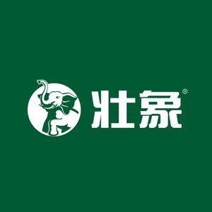 壮象