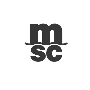 地中海航运/MSC