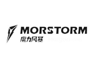 魔力风暴/MORSTORM