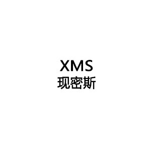 现密斯