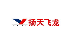 扬天飞龙