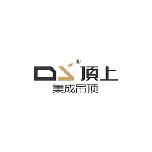 顶上/DS