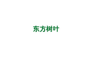 东方树叶