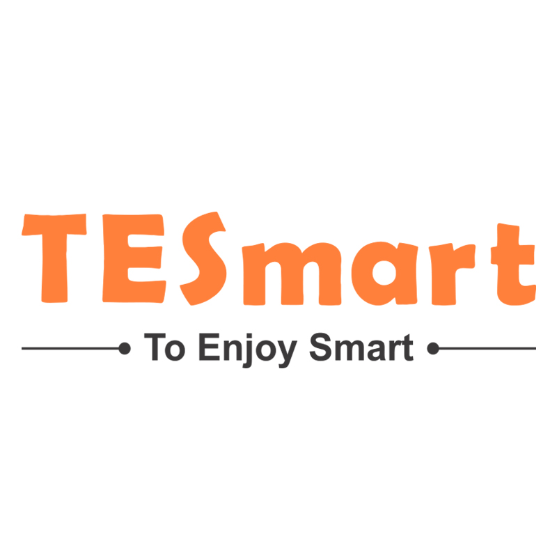 TESmart
