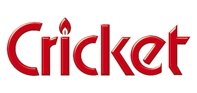 草蜢/Cricket