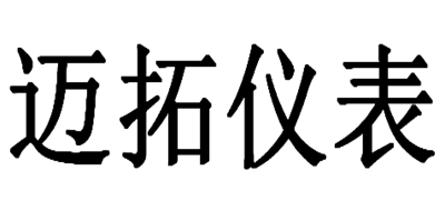 迈拓仪表
