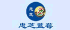 忠芝