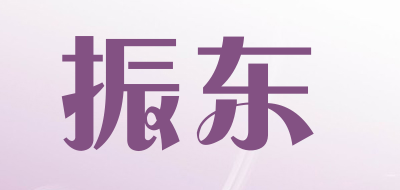 振东/ZHENDONG