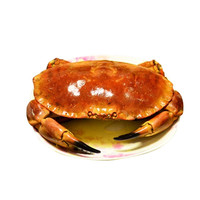 冷冻野生海鲜十大品牌排行榜