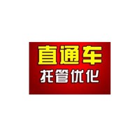 直通车托管十大品牌排行榜